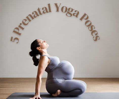 Prenatal Yoga Poses for Pregnant Women